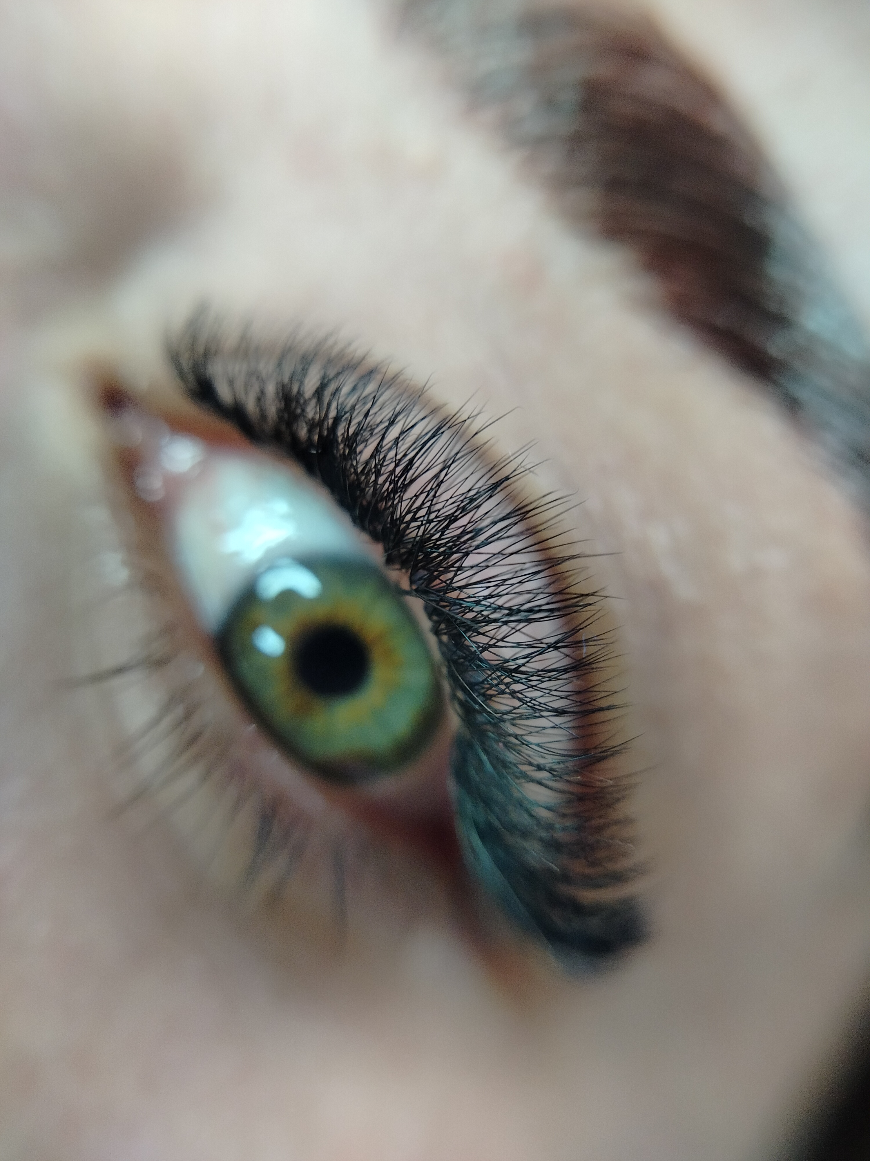 FIBRAS TECNOLOGÍCAS 4D