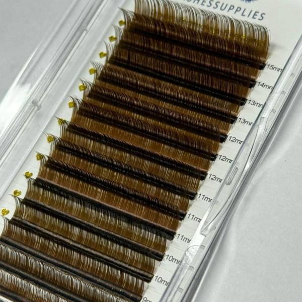 Pestañas Café Mix Lashessuppliescr