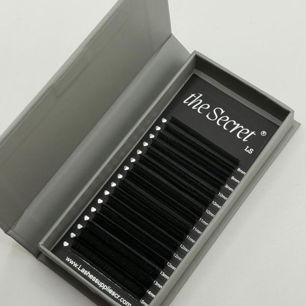 The Secret 5D U curva C 