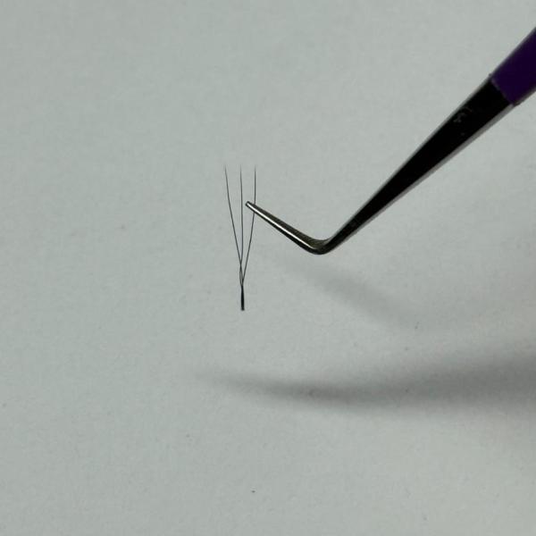 Libro de tecnológicas W 